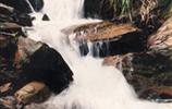 玉龍?jiān)怼㈨懰?></a></dd>
  <dd>
	 

	

	 

	　　雨母山西北一個(gè)山皂，東西縱向長(zhǎng)達(dá)1公里。有叫玉龍?jiān)?，有叫響水皂。該皂有響水泉和響水瀑布。在玉龍?jiān)砼c九龍沖相隔的山坳，叫玉龍騰山坳，簡(jiǎn)稱(chēng)玉龍坳。玉龍土皂現(xiàn)駐有供電所、林場(chǎng)和蒸湘區(qū)黨校。在玉龍?jiān)淼祝幸蝗_(tái)，叫玉龍臺(tái)。...[<a href=