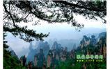 【純玩獨(dú)立成團(tuán)線路1】張家界、袁家界、天子山、寶峰湖/黃龍洞二晚三日