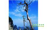 湘西之旅：張家界、天子山、寶峰湖/黃龍洞、鳳凰古城、猛洞河漂流、天門山六日游