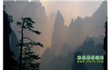 張家界國家森林公園、寶峰湖/黃龍洞、鳳凰古城、三峽八日游