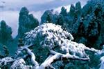 【純玩拼團線路18】下午班：鳳凰古城、張家界、天子山三晚四日游
