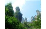 【純玩拼團(tuán)線路 張家界出發(fā)A2線】張家界、袁家界、天子山、金鞭溪、鳳凰古城2晚3日游